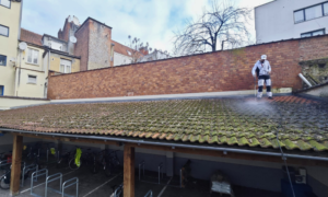 Démoussage - Handy Belgium pour vos travaux de toiture
